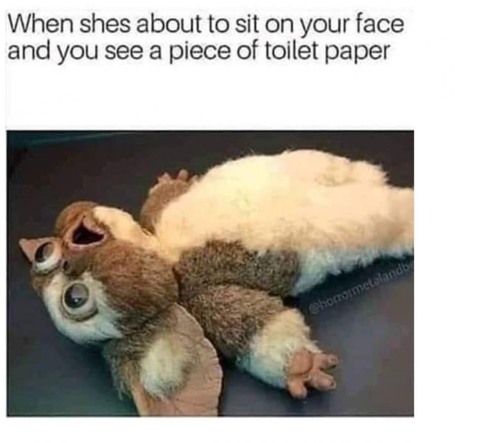 Click image for larger version

Name:	7D9338E8-CC7F-4B8A-BFD9-1DB19CDD2508.jpeg
Views:	527
Size:	63.8 KB
ID:	214