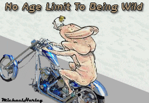 Click image for larger version  Name:	Cruiser.gif Views:	0 Size:	54.4 KB ID:	7399