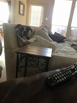 Click image for larger version

Name:	ADBD25B0-643B-4C0F-9AC8-090E8ADC5393.jpeg
Views:	361
Size:	55.2 KB
ID:	7131