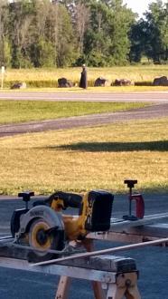 Click image for larger version

Name:	IMG_20200823_182041454_HDR.jpg
Views:	202
Size:	67.0 KB
ID:	980