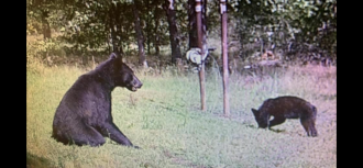 Click image for larger version

Name:	4857657A-5104-46F9-9571-98B6B108CDB7.png
Views:	295
Size:	995.8 KB
ID:	1993