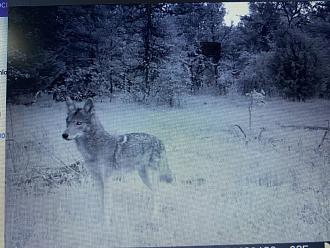 Click image for larger version

Name:	7AAC0EDA-1804-4875-B6F0-CD83D4B333E6.jpeg
Views:	313
Size:	261.7 KB
ID:	1994