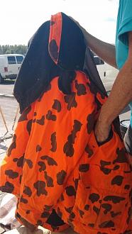 Click image for larger version  Name:	IMG_20200901_124044564.jpg Views:	0 Size:	57.3 KB ID:	2122