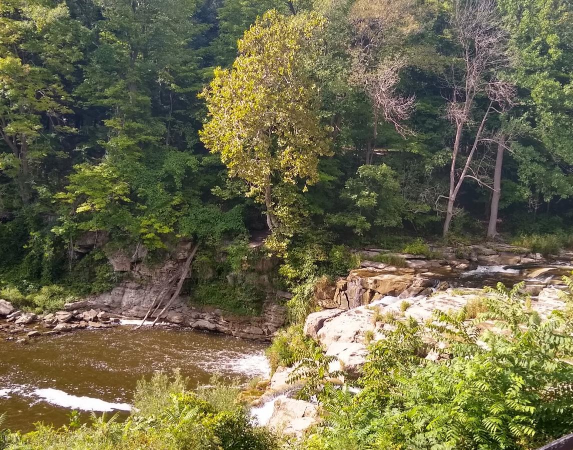 Click image for larger version

Name:	IMG_20200902_160558544_HDR.jpg
Views:	466
Size:	305.2 KB
ID:	2203