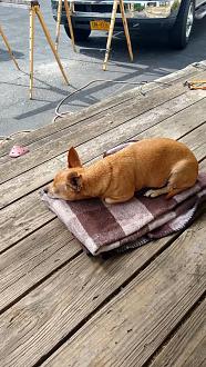 Click image for larger version

Name:	IMG_20200903_103444635_HDR.jpg
Views:	341
Size:	117.0 KB
ID:	2269