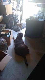 Click image for larger version

Name:	IMG_20200830_160121166.jpg
Views:	387
Size:	46.8 KB
ID:	2270