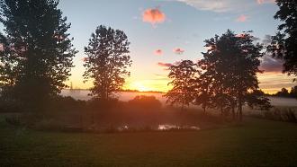 Click image for larger version

Name:	IMG_20200904_064242916_HDR.jpg
Views:	445
Size:	162.3 KB
ID:	2325