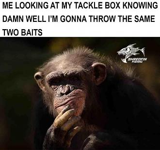 Click image for larger version

Name:	9BCEDB5A-4F2A-4EF6-A7D4-7D6A4CB29AB4.jpeg
Views:	367
Size:	83.3 KB
ID:	2470