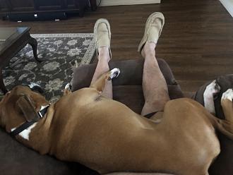 Click image for larger version

Name:	93C67F76-8EE4-4B54-BCDA-7A33125F7007.jpeg
Views:	329
Size:	89.9 KB
ID:	2480