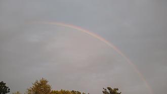 Click image for larger version

Name:	IMG_20200905_192048319.jpg
Views:	303
Size:	40.8 KB
ID:	2482