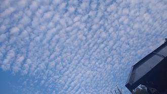 Click image for larger version

Name:	IMG_20200906_182659931.jpg
Views:	300
Size:	96.4 KB
ID:	2585