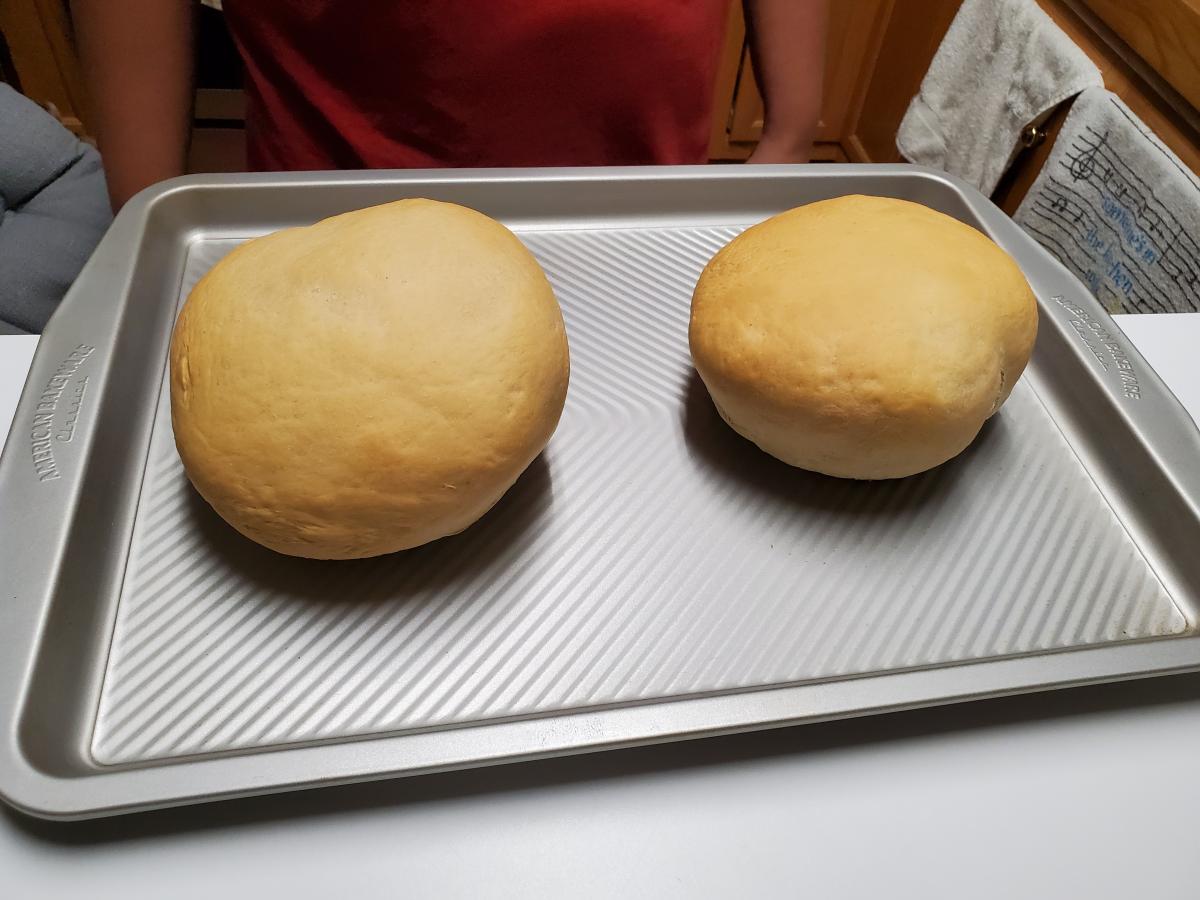 Click image for larger version

Name:	20200907_194329.jpg
Views:	131
Size:	104.6 KB
ID:	2661