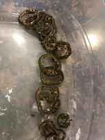 Click image for larger version

Name:	32D29C53-3C9F-4B6E-8FCD-6C4343C76976.jpeg
Views:	278
Size:	63.4 KB
ID:	3006