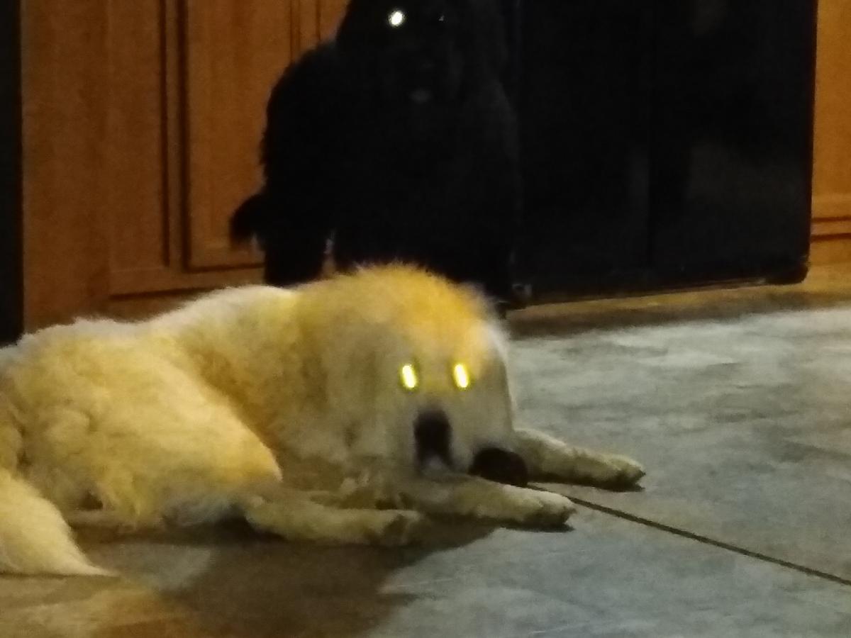 Click image for larger version

Name:	IMG_20200914_194546891.jpg
Views:	220
Size:	67.5 KB
ID:	3042