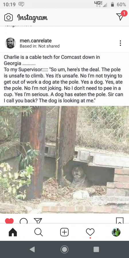 Click image for larger version

Name:	Screenshot_20200919-101902.png
Views:	203
Size:	452.5 KB
ID:	3200