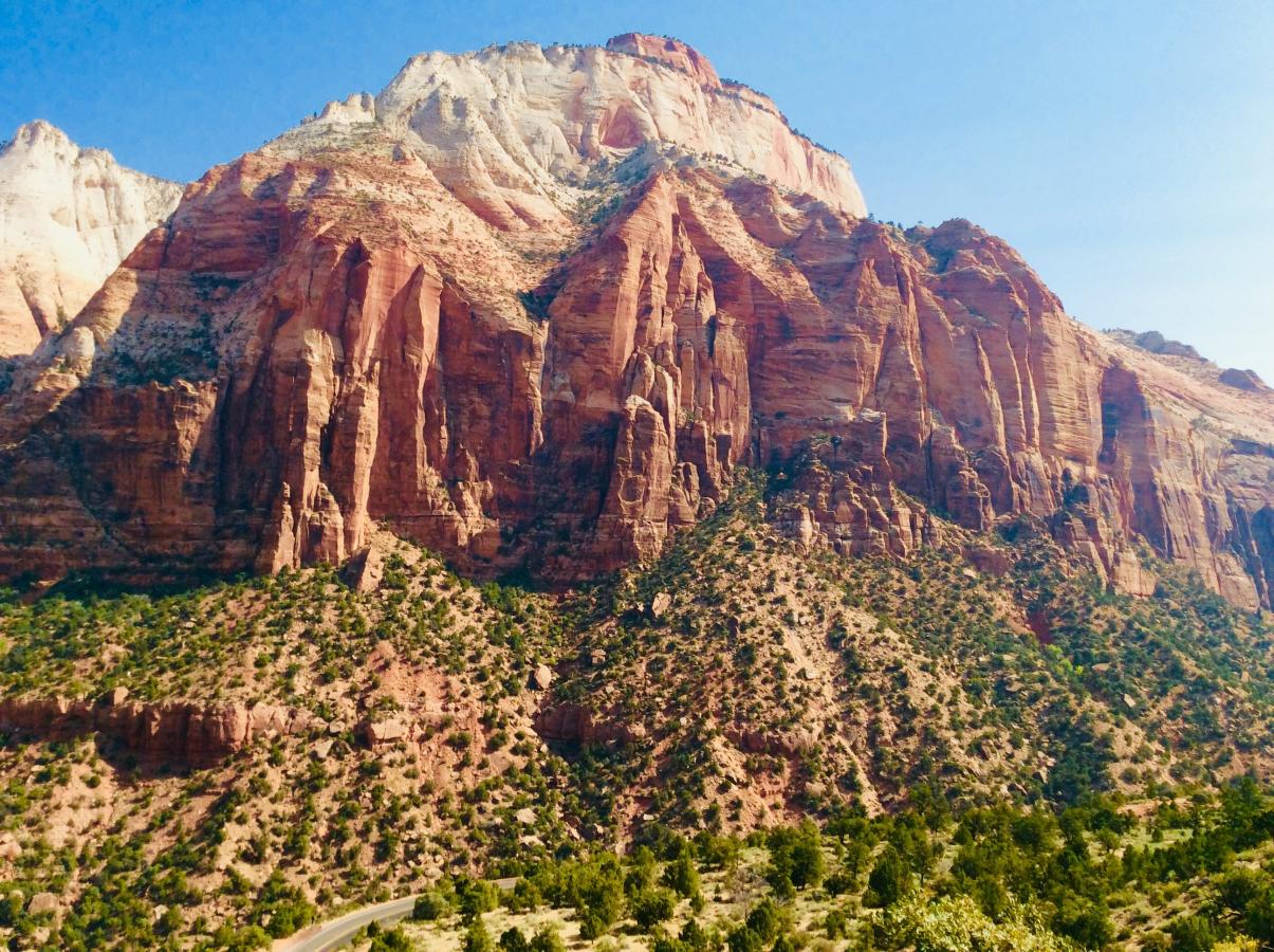 Click image for larger version

Name:	E75D0387-6821-4B88-A32F-21F2143159DA.jpeg
Views:	63
Size:	252.2 KB
ID:	3450