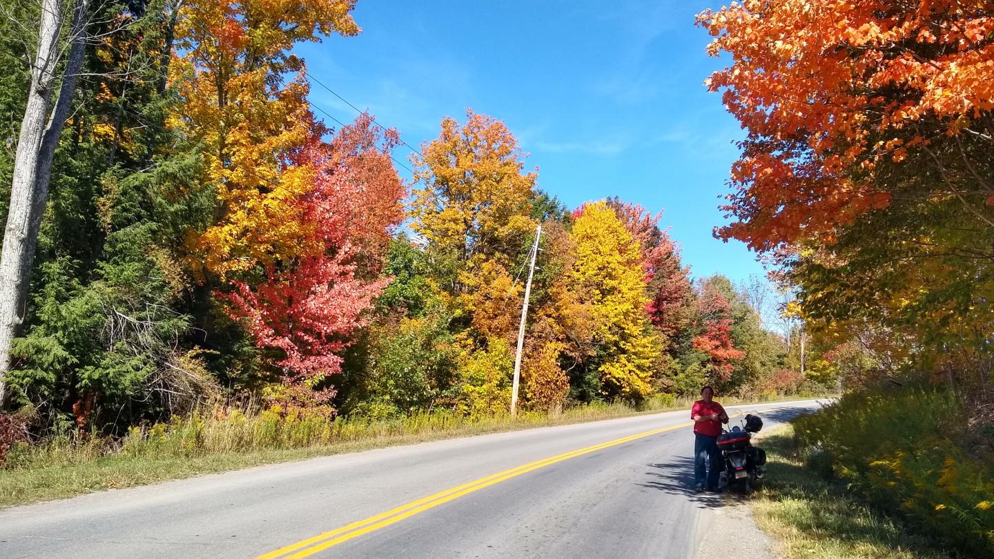 Click image for larger version

Name:	IMG_20200926_130958011_HDR.jpg
Views:	51
Size:	332.7 KB
ID:	3664