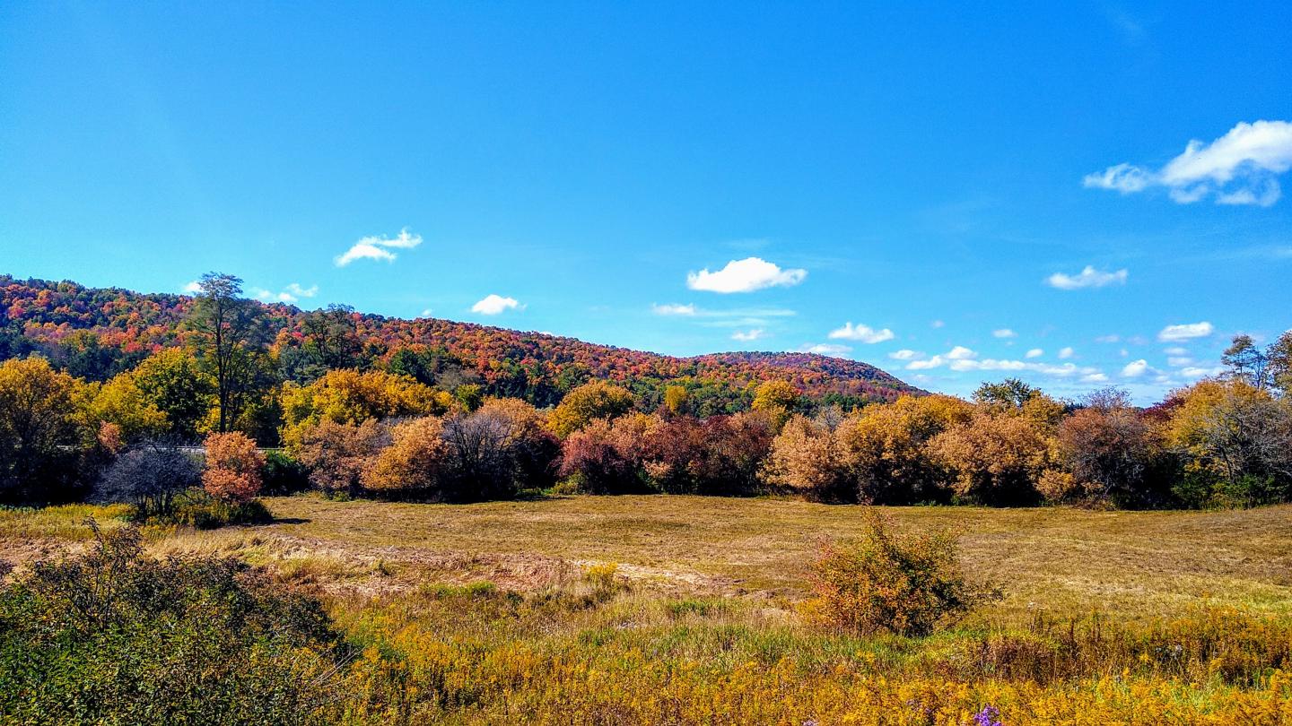 Click image for larger version

Name:	IMG_20200926_131358531.jpg
Views:	50
Size:	274.6 KB
ID:	3667