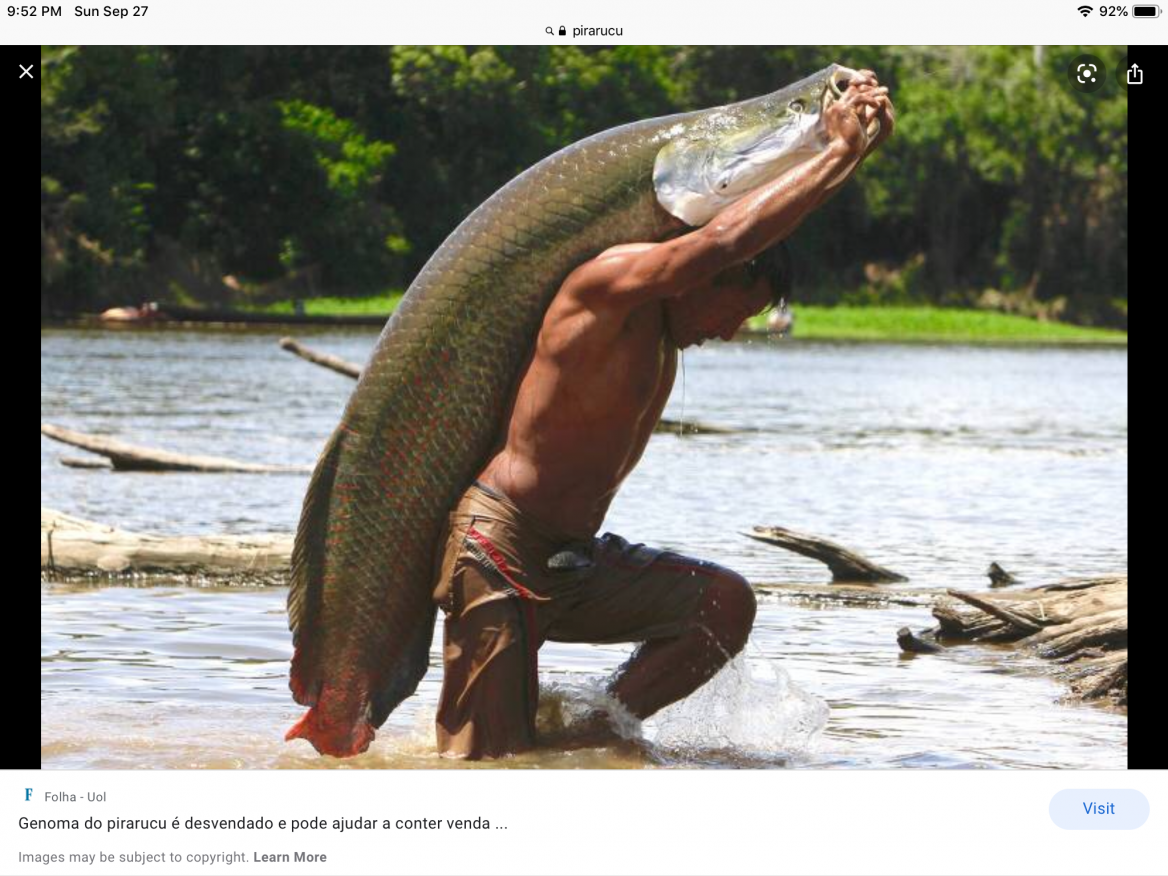 Click image for larger version

Name:	A68A7B40-56A9-4D29-AAFA-2BB8CE154E5B.png
Views:	152
Size:	1.15 MB
ID:	3742