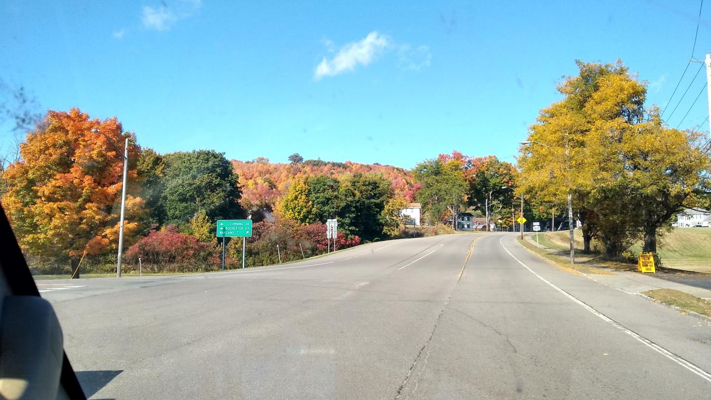 Click image for larger version

Name:	IMG_20200928_101639152_HDR.jpg
Views:	42
Size:	187.8 KB
ID:	3768