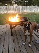 Click image for larger version

Name:	10203D27-89D0-454D-A51B-70D7E7358835.jpeg
Views:	502
Size:	86.4 KB
ID:	3826