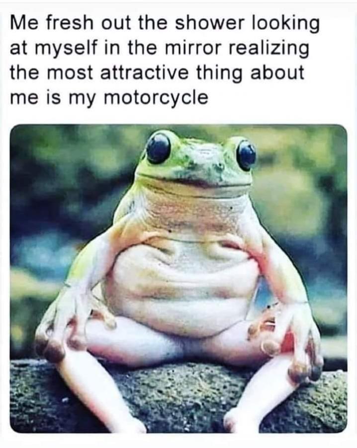 Click image for larger version

Name:	FB_IMG_1601515833333.jpg
Views:	202
Size:	76.5 KB
ID:	3892