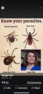 Click image for larger version

Name:	6BC71F93-0303-4C44-B0AE-BE52FCA0779D.jpeg
Views:	206
Size:	39.5 KB
ID:	4372