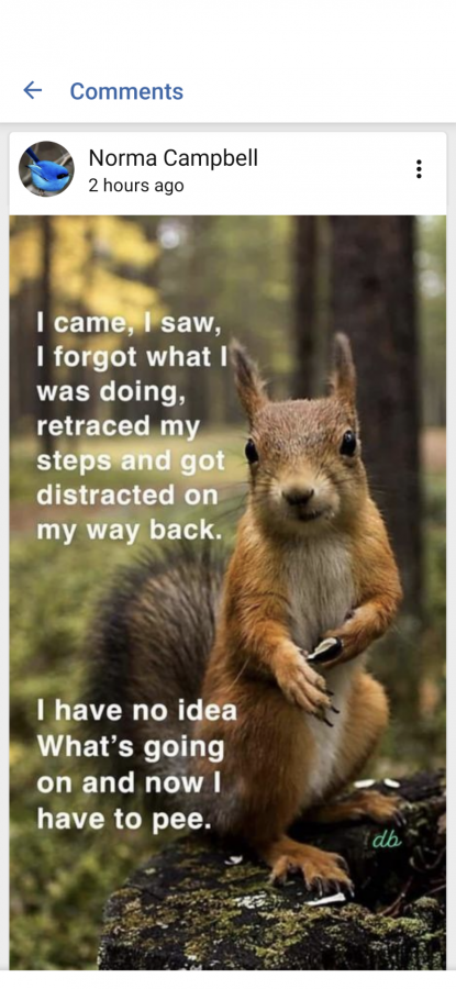 Click image for larger version

Name:	Screenshot_20201012-150608.png
Views:	162
Size:	498.0 KB
ID:	4431
