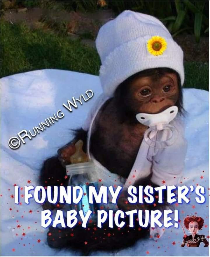 Click image for larger version

Name:	FB_IMG_1602543835963.jpg
Views:	272
Size:	102.6 KB
ID:	4446