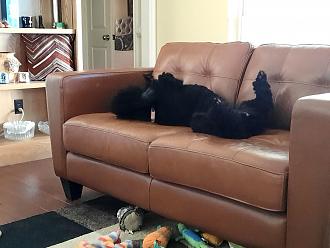 Click image for larger version

Name:	20201010_100748.jpg
Views:	196
Size:	111.3 KB
ID:	4458