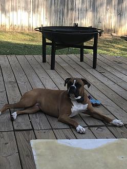 Click image for larger version

Name:	65F64F4A-1102-46B9-9698-88927A4EE57B.jpeg
Views:	296
Size:	93.2 KB
ID:	4653