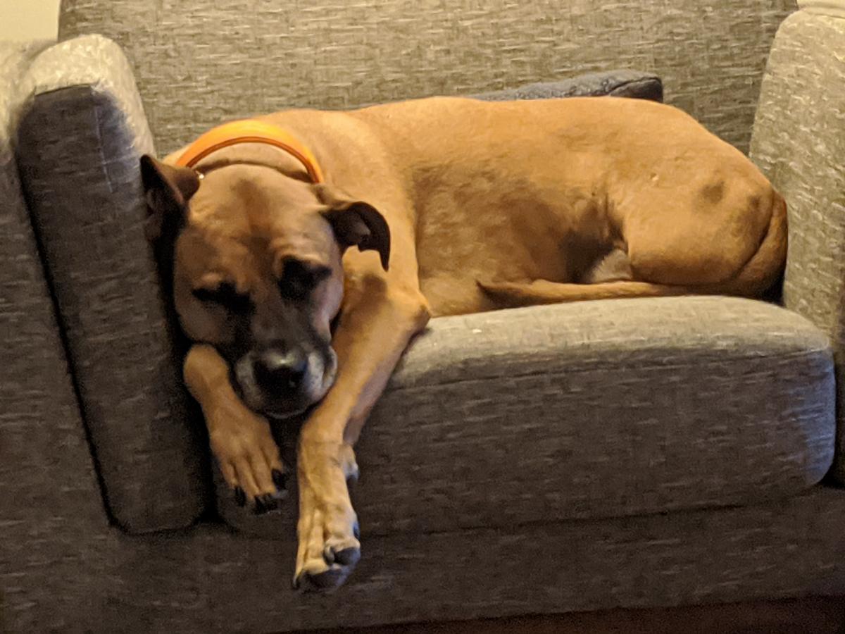 Click image for larger version

Name:	IMG_20201021_181211.jpg
Views:	185
Size:	128.5 KB
ID:	4740