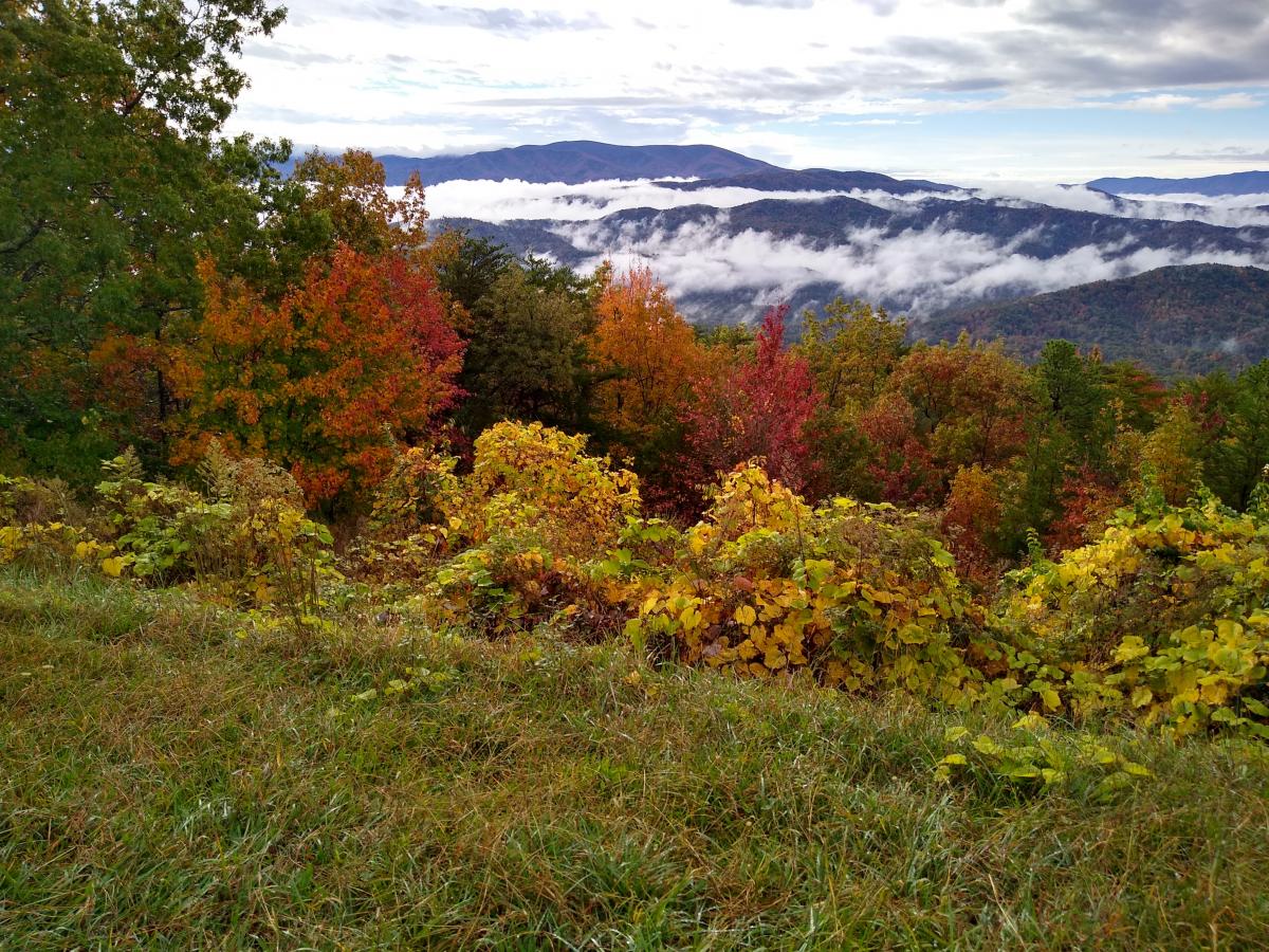 Click image for larger version

Name:	IMG_20201024_095938054_HDR.jpg
Views:	109
Size:	276.0 KB
ID:	4869