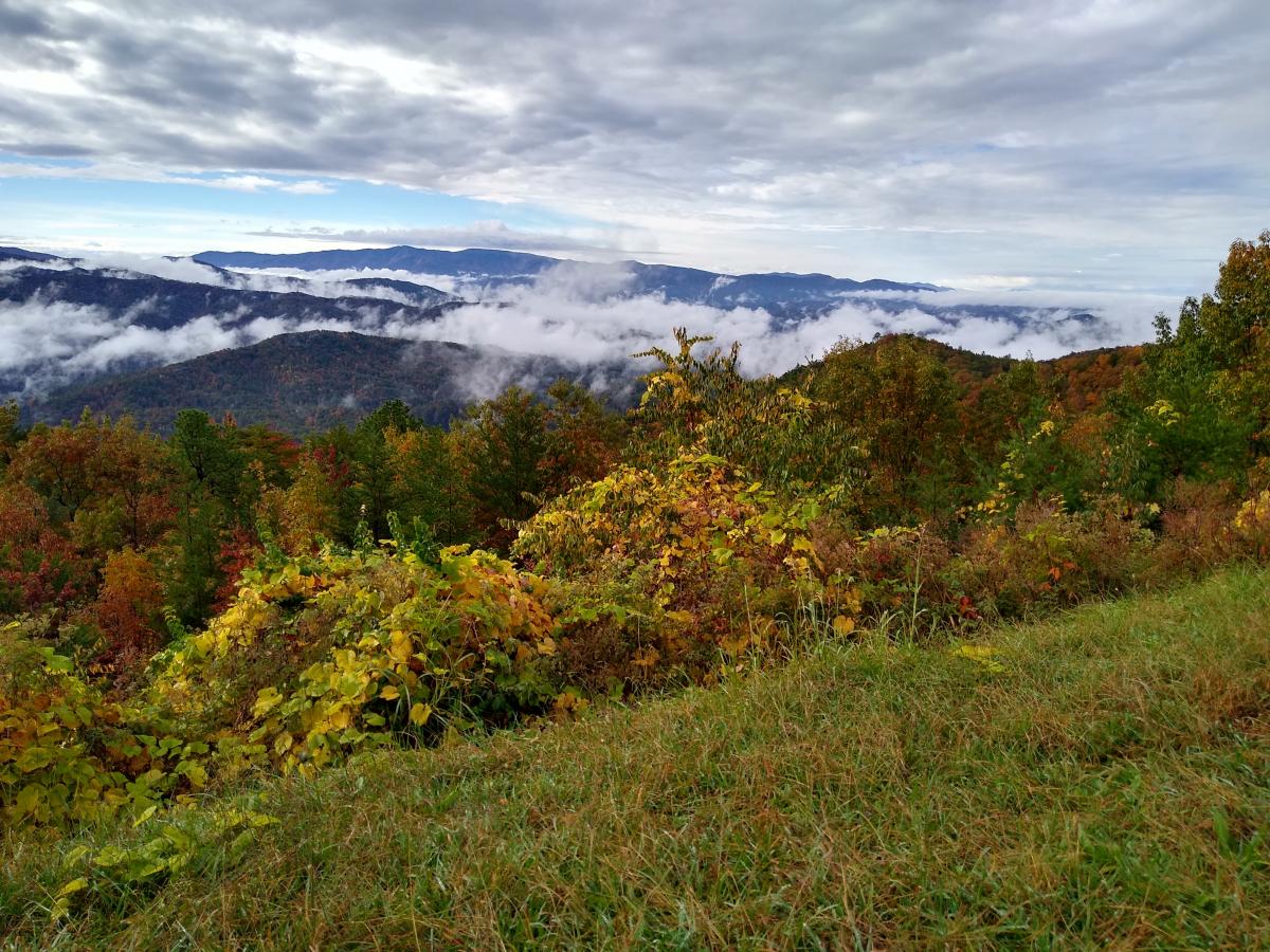 Click image for larger version

Name:	IMG_20201024_095934680_HDR.jpg
Views:	116
Size:	227.3 KB
ID:	4868