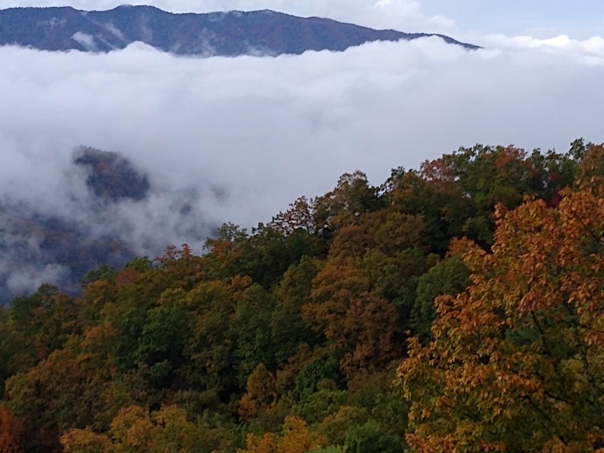 Click image for larger version

Name:	IMG_20201024_103846984.jpg
Views:	107
Size:	120.9 KB
ID:	4871