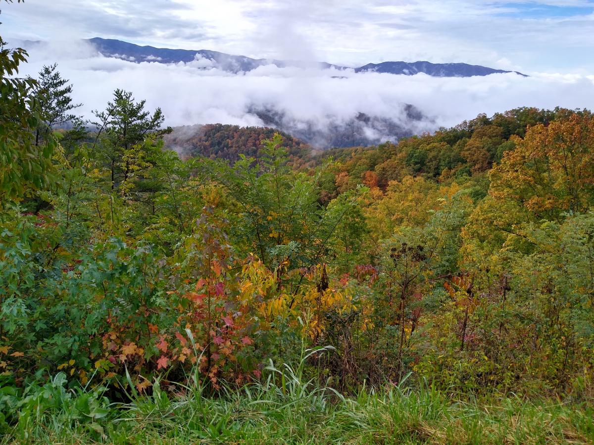 Click image for larger version

Name:	IMG_20201024_103835745_HDR.jpg
Views:	98
Size:	265.3 KB
ID:	4873