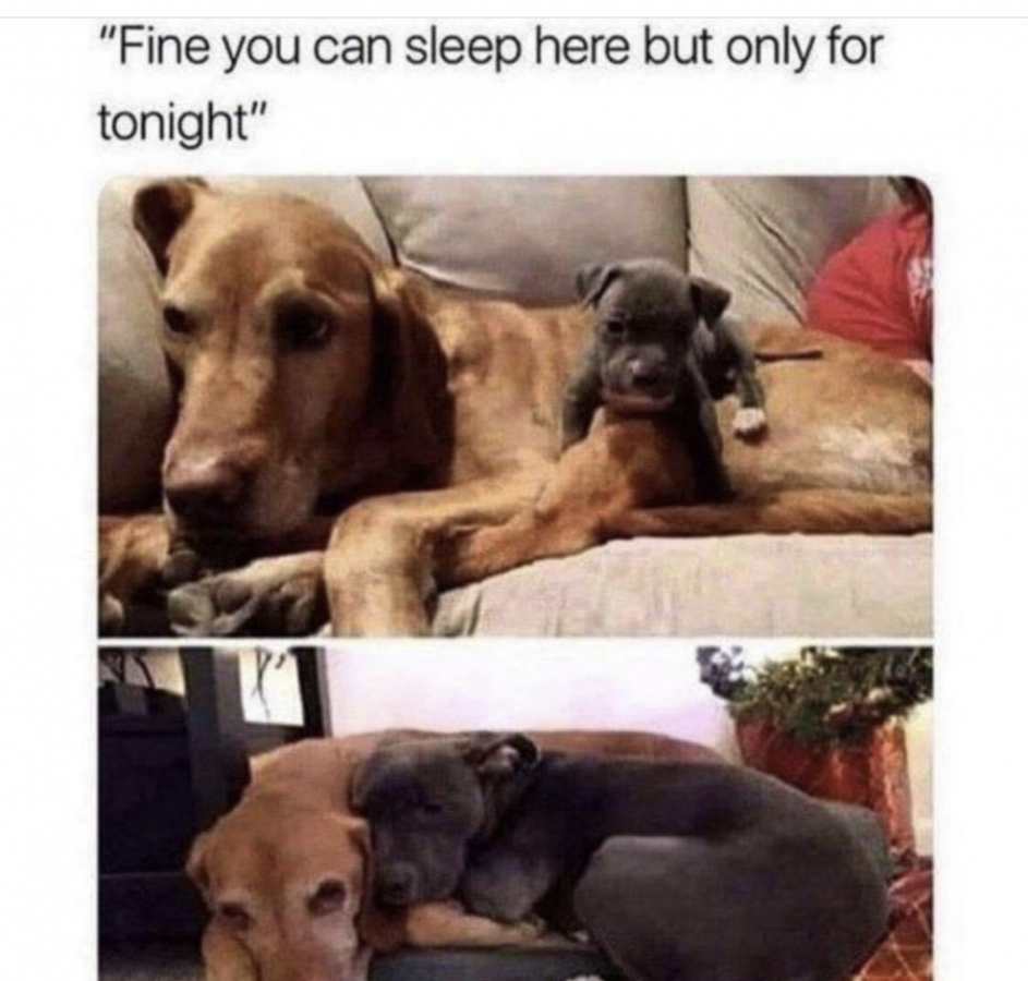 Click image for larger version

Name:	Screenshot_20201024-184107.png
Views:	177
Size:	914.3 KB
ID:	4884