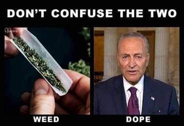 Click image for larger version

Name:	dope.jpg
Views:	183
Size:	21.8 KB
ID:	4967