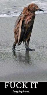 Click image for larger version

Name:	I-am-Rudy.jpg
Views:	596
Size:	44.5 KB
ID:	5122