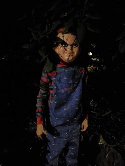 Click image for larger version

Name:	Resized_20201031_192232.jpeg
Views:	297
Size:	39.2 KB
ID:	5199