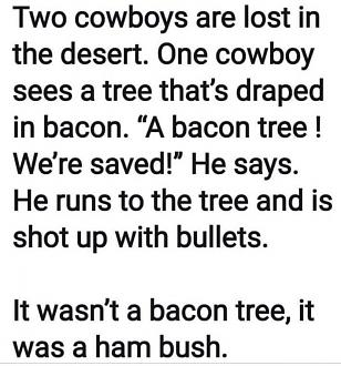 Click image for larger version

Name:	IMG-20200919-WA0000.jpg
Views:	302
Size:	88.9 KB
ID:	5372