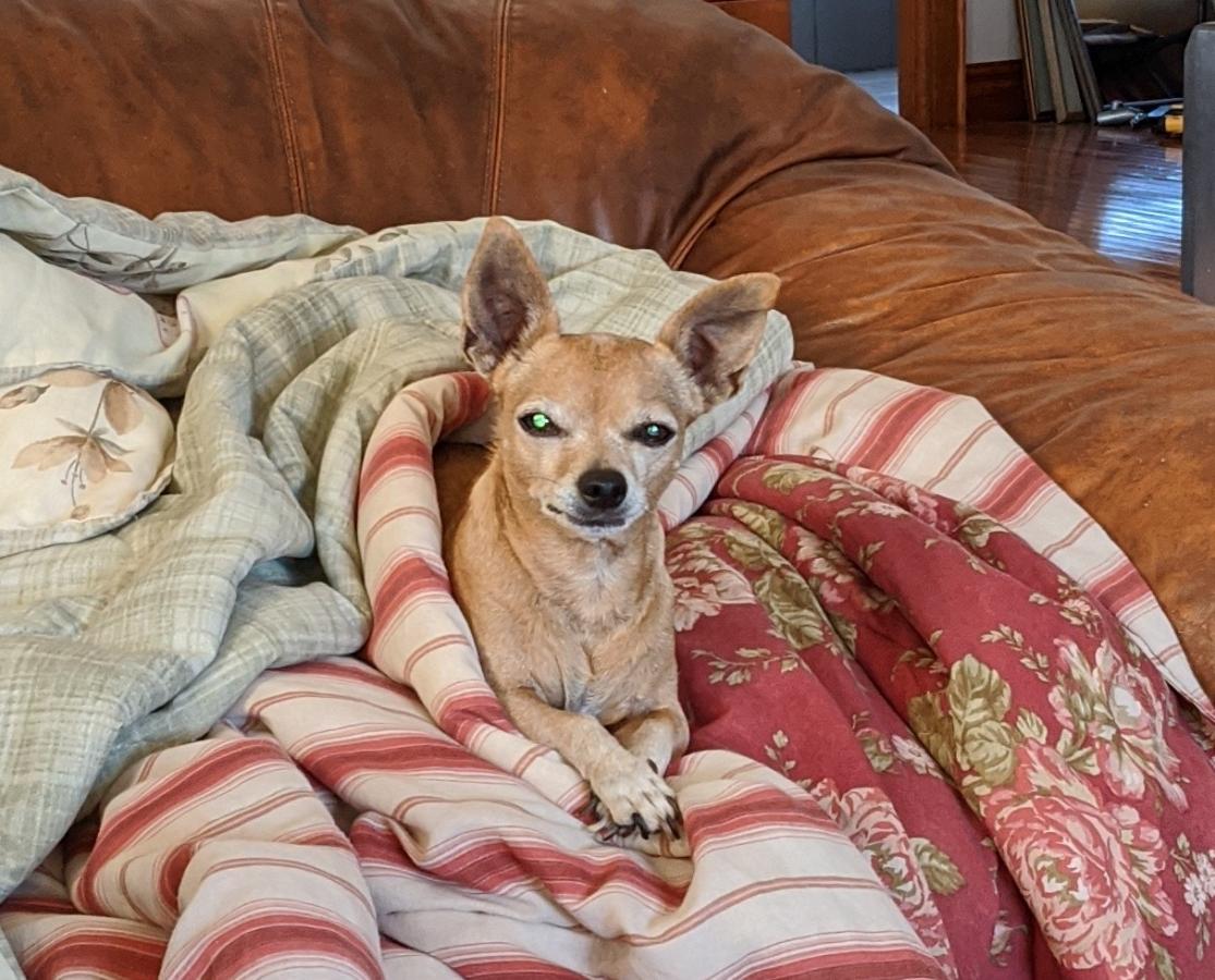 Click image for larger version

Name:	IMG_20201106_132936.jpg
Views:	178
Size:	150.1 KB
ID:	5452