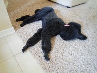 Click image for larger version

Name:	199.JPG
Views:	290
Size:	137.7 KB
ID:	5458