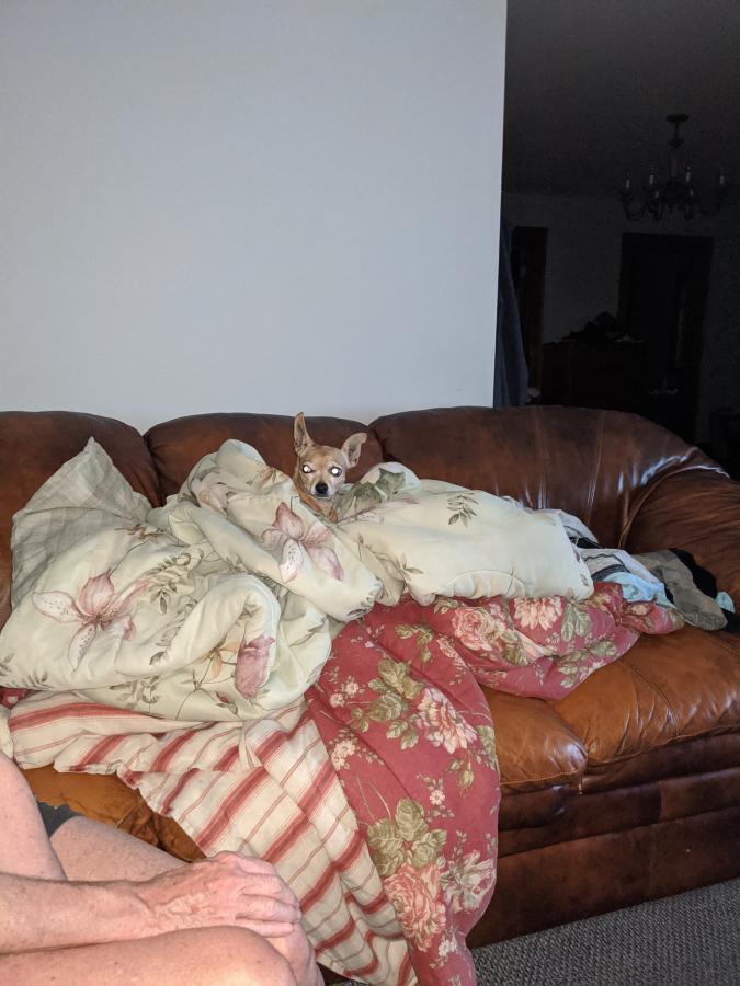 Click image for larger version

Name:	IMG_20201108_172423.jpg
Views:	159
Size:	71.4 KB
ID:	5616