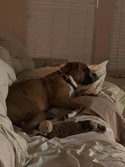 Click image for larger version

Name:	47C6483B-1E8D-4FF1-BCB0-04016123D27E.jpeg
Views:	313
Size:	69.7 KB
ID:	5621