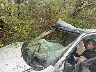 Click image for larger version

Name:	38F327F5-5EB8-4086-B155-EB5318613EF4.jpeg
Views:	162
Size:	309.7 KB
ID:	5641