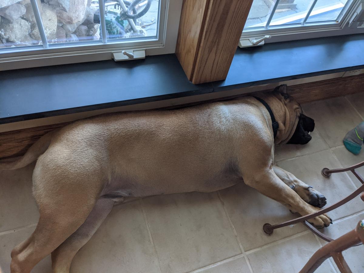 Click image for larger version  Name:	IMG_20201110_133345.jpg Views:	0 Size:	127.2 KB ID:	5829