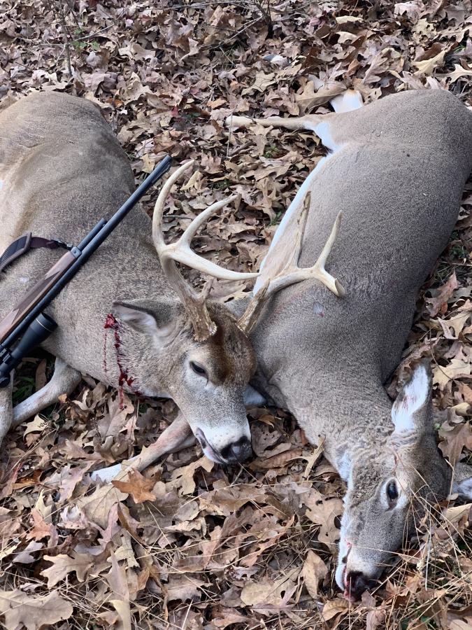 Click image for larger version

Name:	E45EDCFB-05BE-446D-992B-3D475AF3FFFF.jpeg
Views:	193
Size:	189.8 KB
ID:	5992