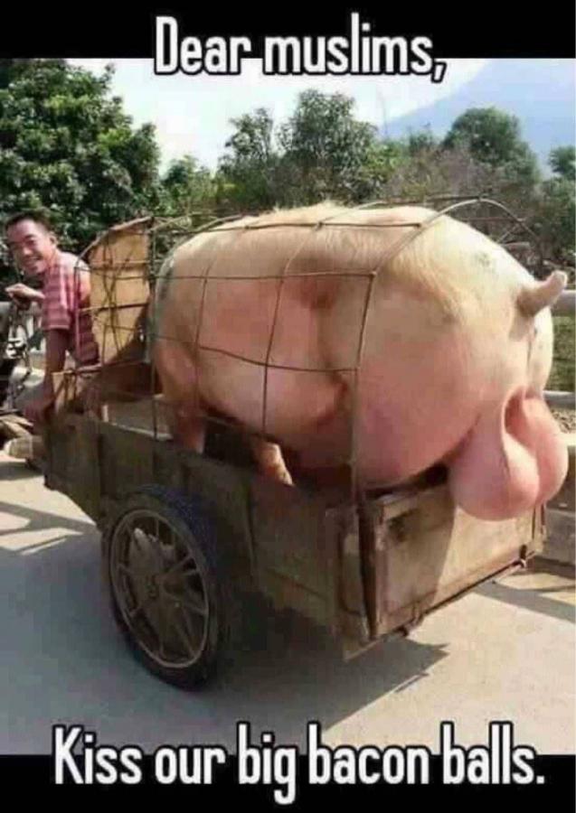 Click image for larger version

Name:	788B723A-8423-435C-9D17-1A66DFCAB22F.jpeg
Views:	66
Size:	68.6 KB
ID:	6326