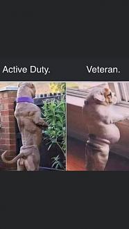 Click image for larger version

Name:	25362AF4-A71D-4338-93C3-120B1E82AD90.jpeg
Views:	283
Size:	32.0 KB
ID:	6524